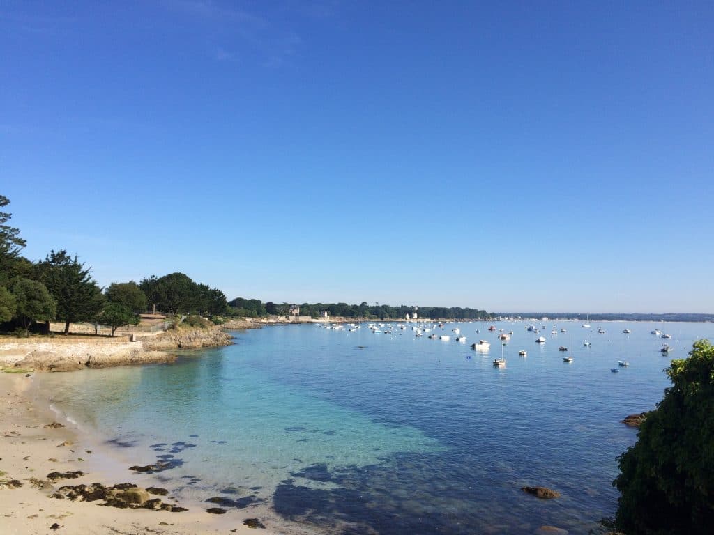 Beg Meil plage des oiseaux